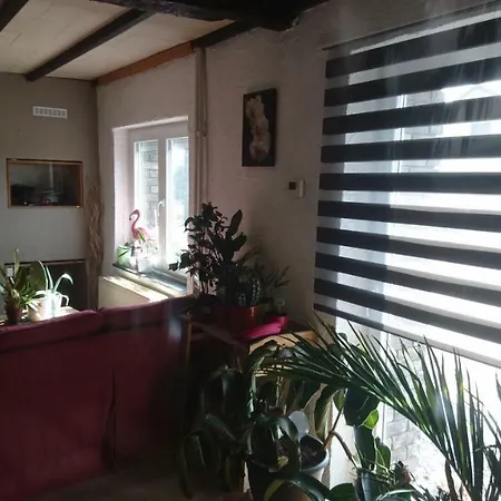 Chez Binchu Xhoris